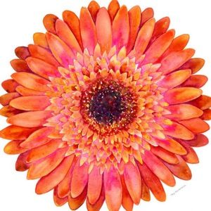 Meet your Posher, Deanna